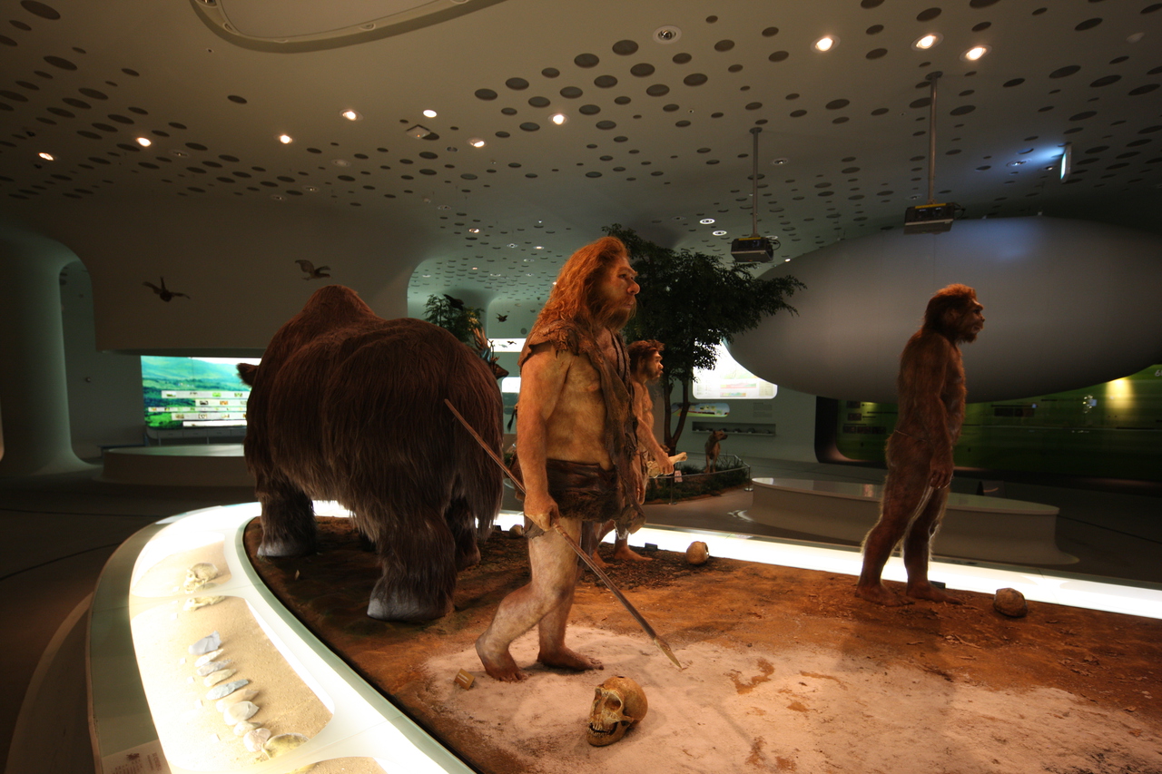 전곡선사박물관