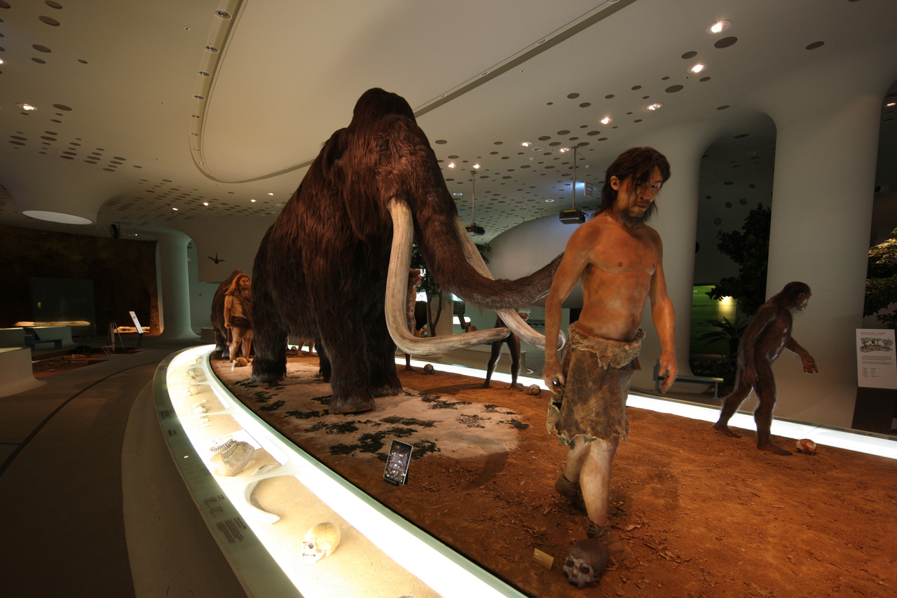 전곡선사박물관