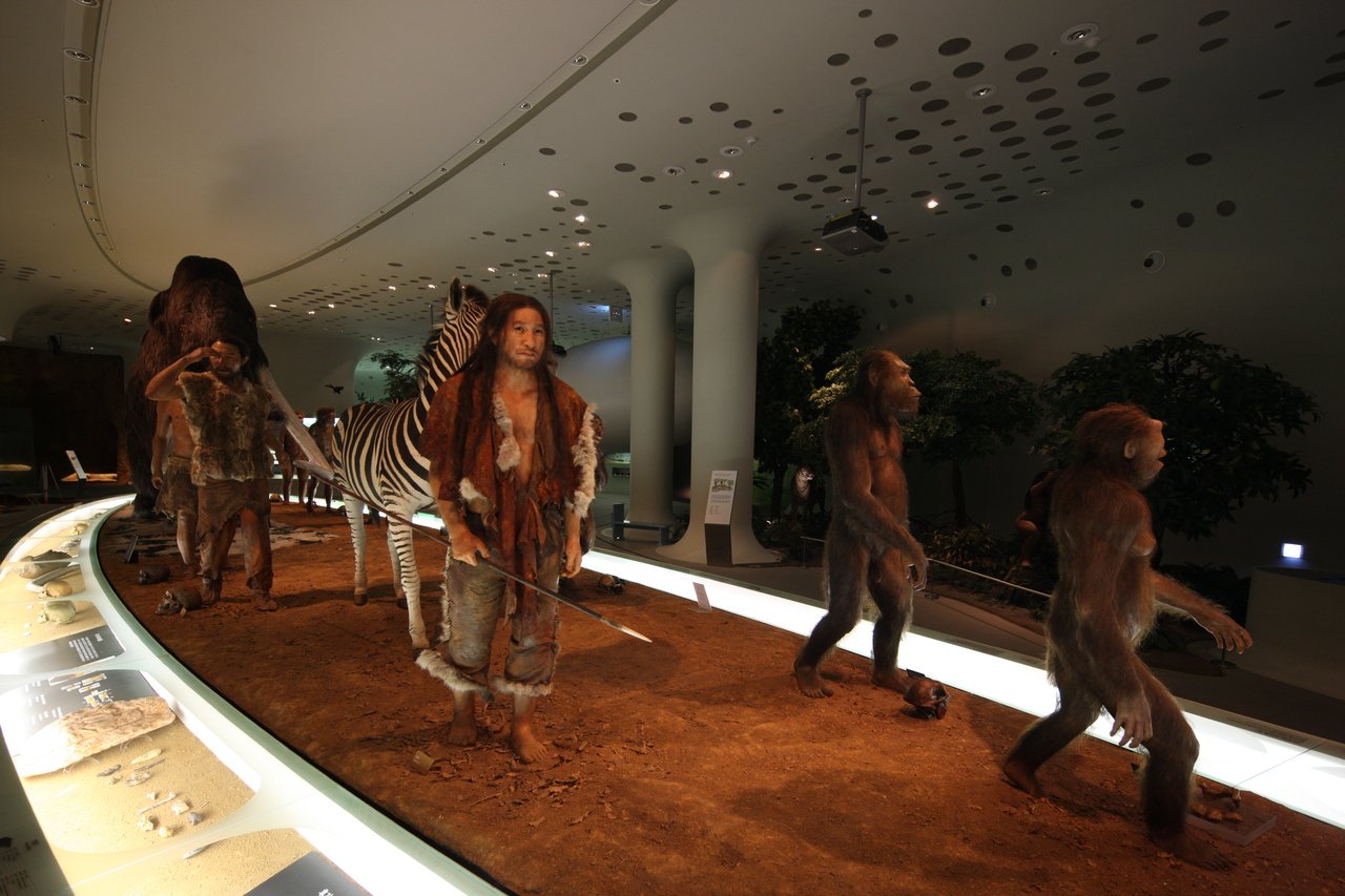 전곡선사박물관