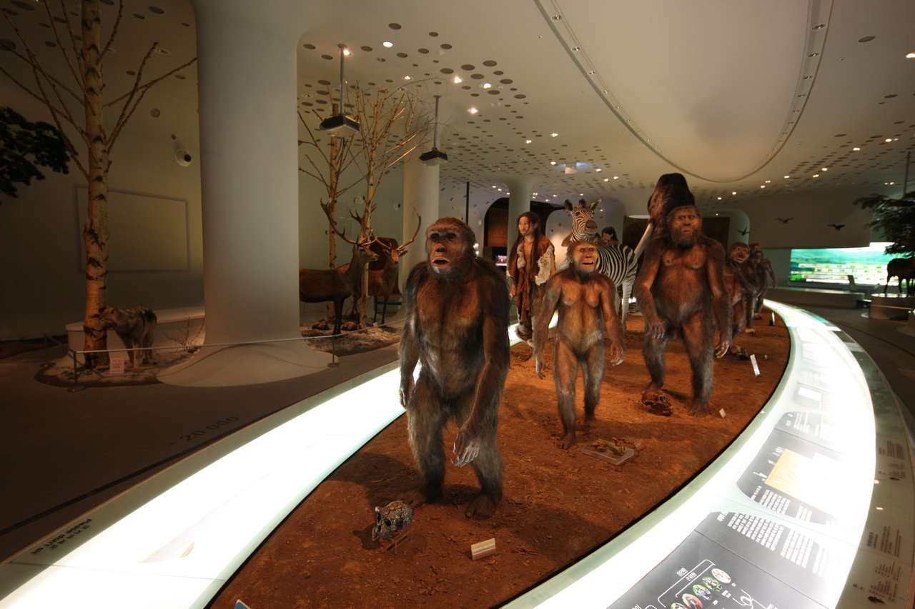 전곡선사박물관