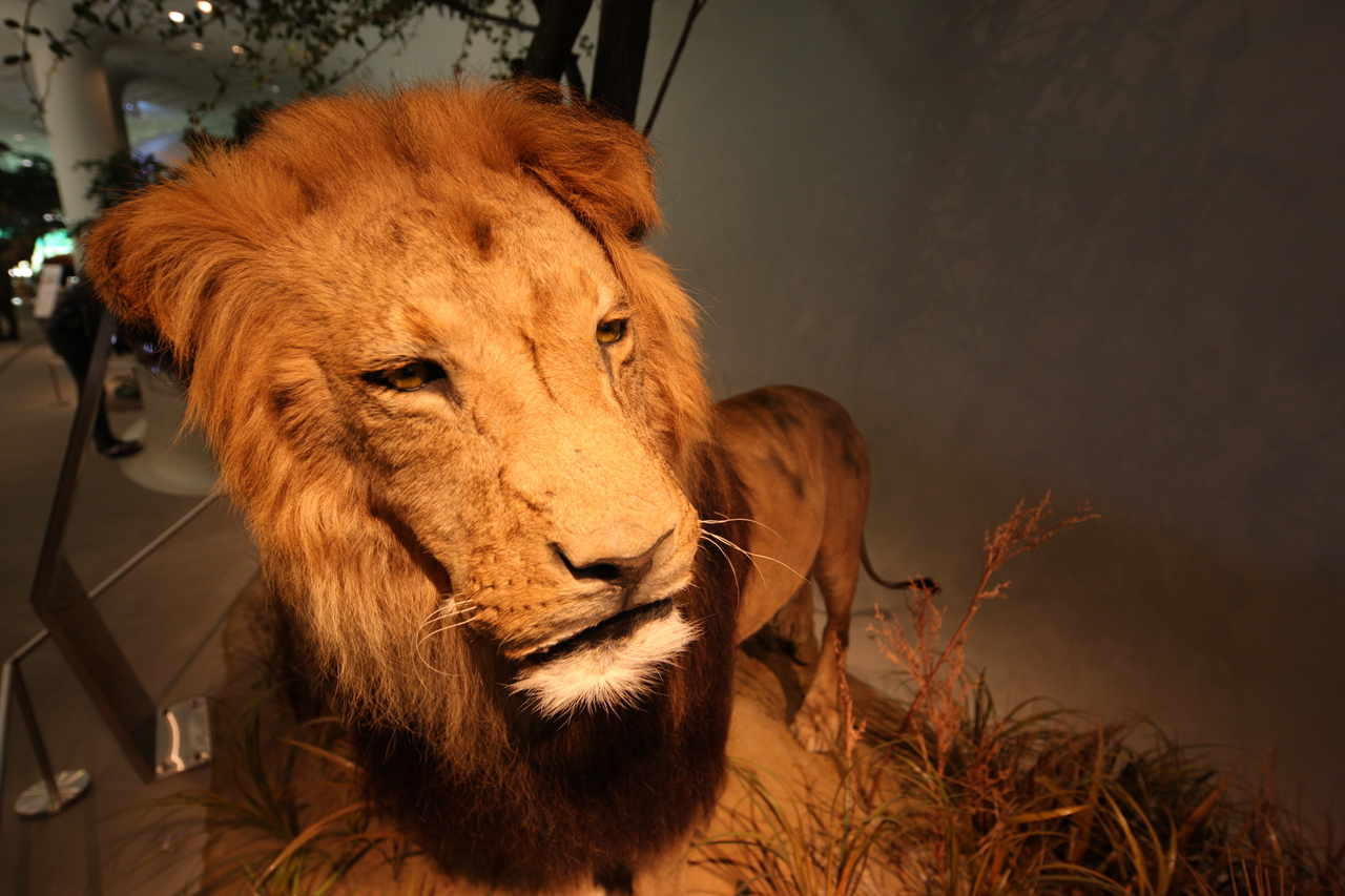 전곡선사박물관