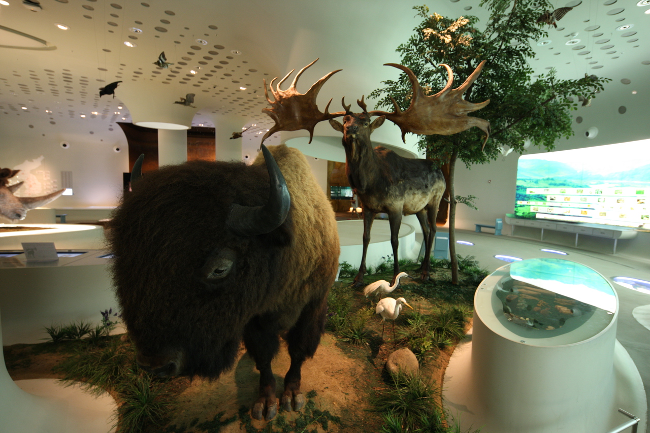 전곡선사박물관