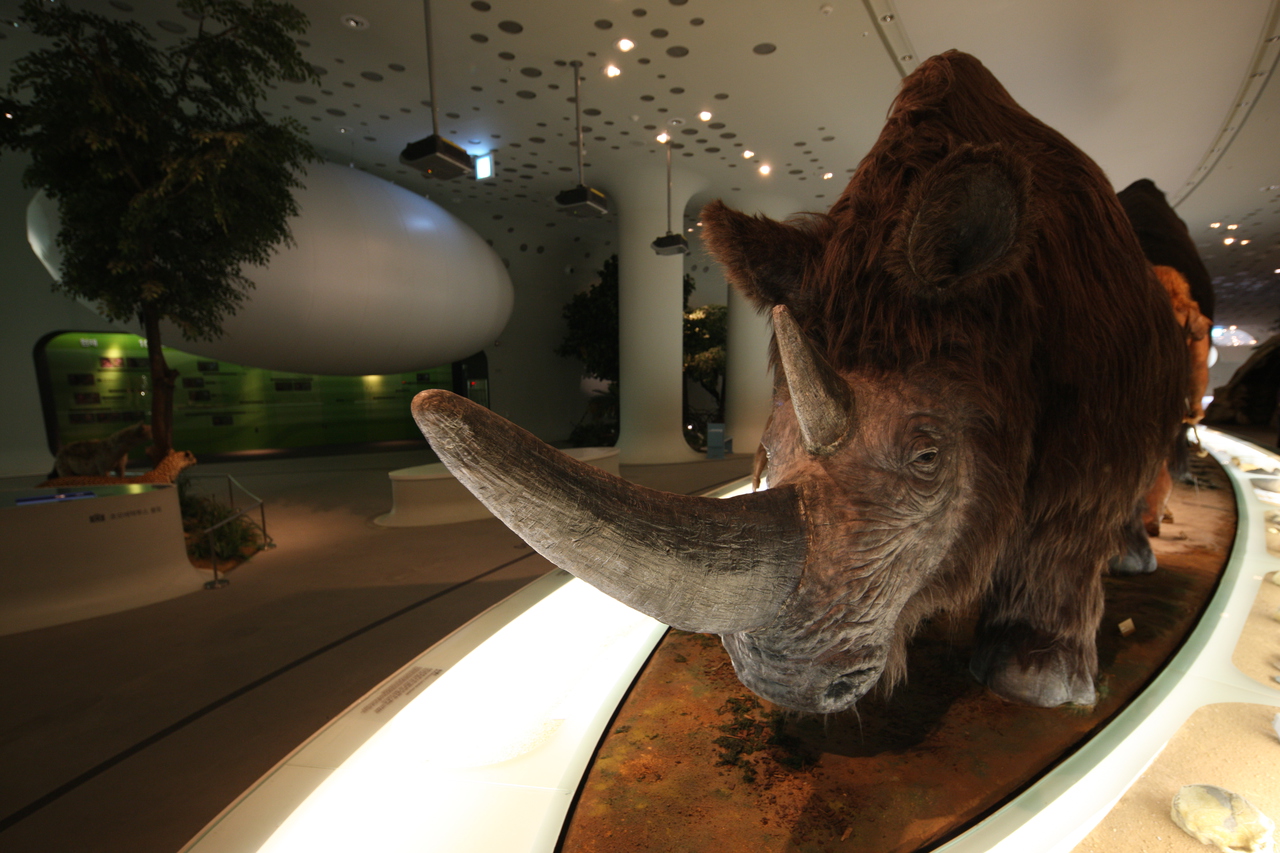 전곡선사박물관