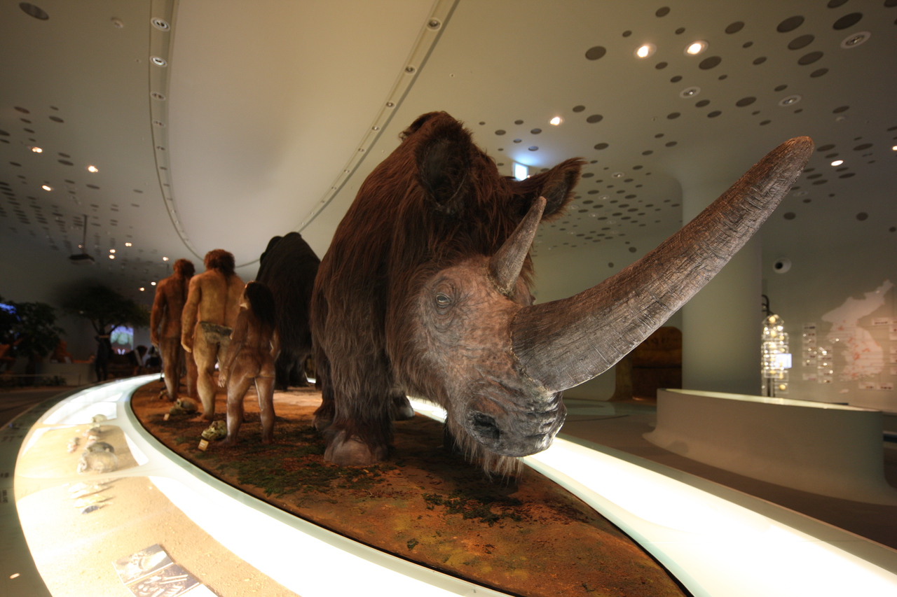 전곡선사박물관