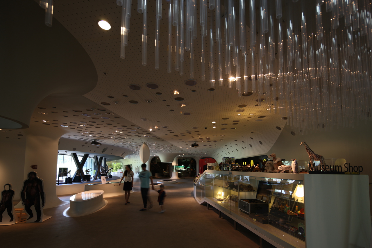 전곡선사박물관