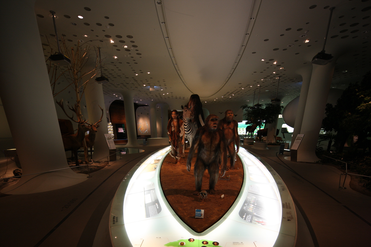 전곡선사박물관