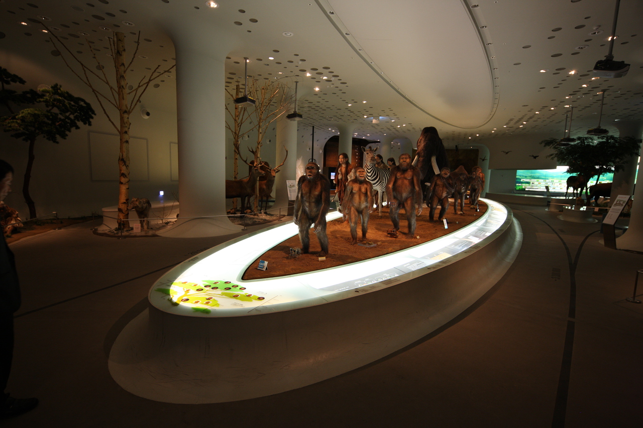 전곡선사박물관