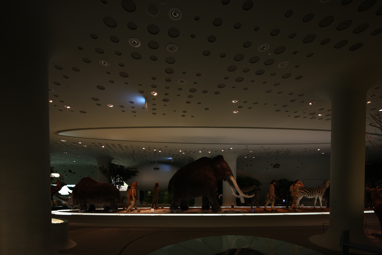 전곡선사박물관