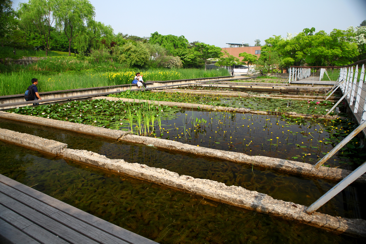 선유도공원(서울)