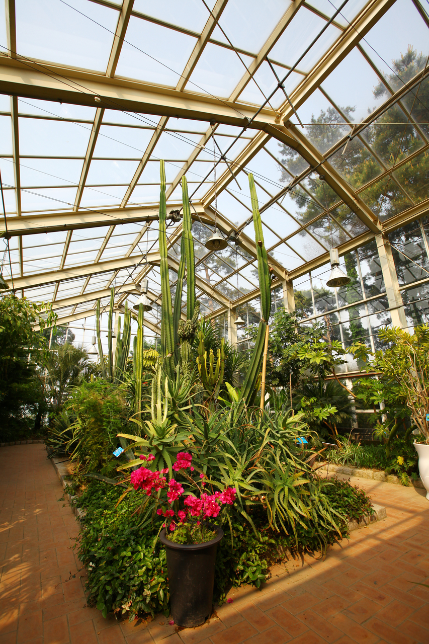 선유도공원(서울)