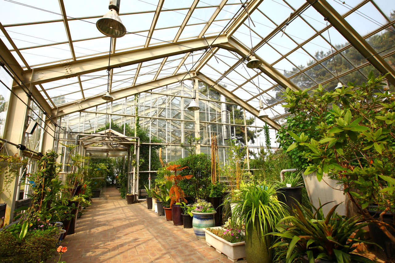 선유도공원(서울)