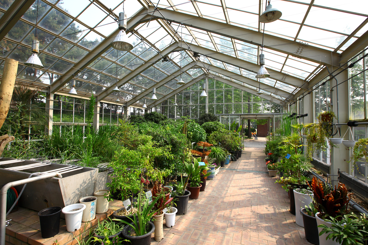 선유도공원(서울)