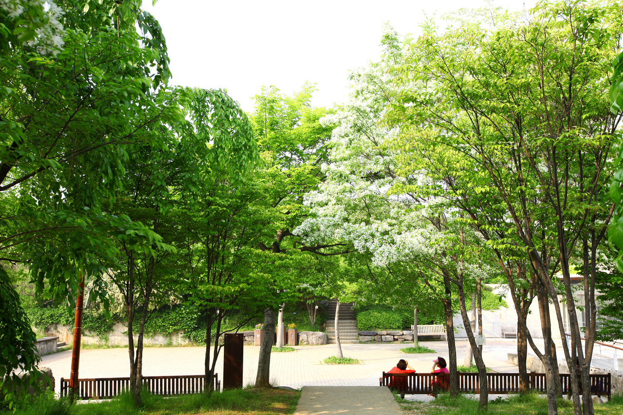 선유도공원(서울)