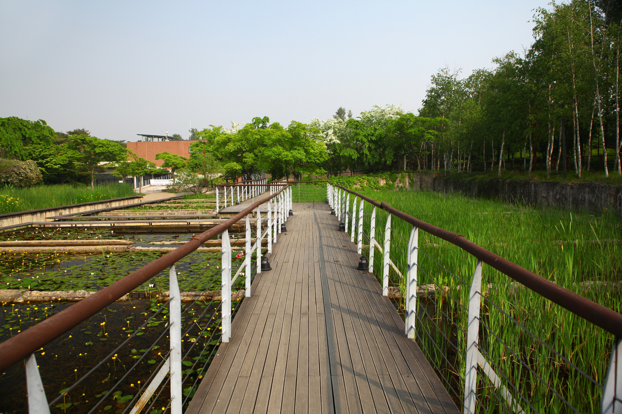 선유도공원(서울)