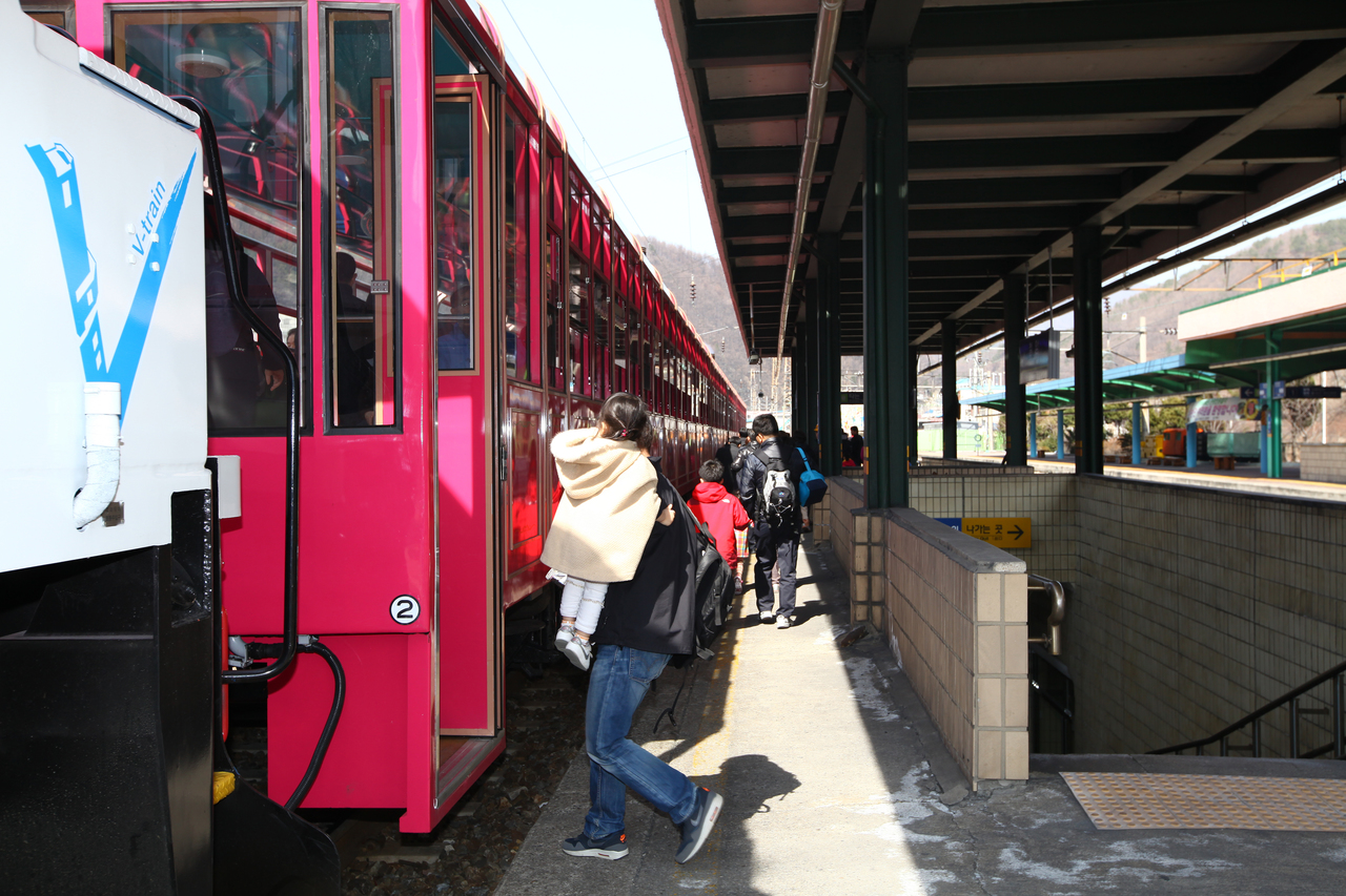강원_백두대간 협곡열차 V-Train