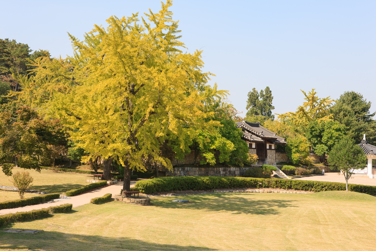 추사김정희선생고택