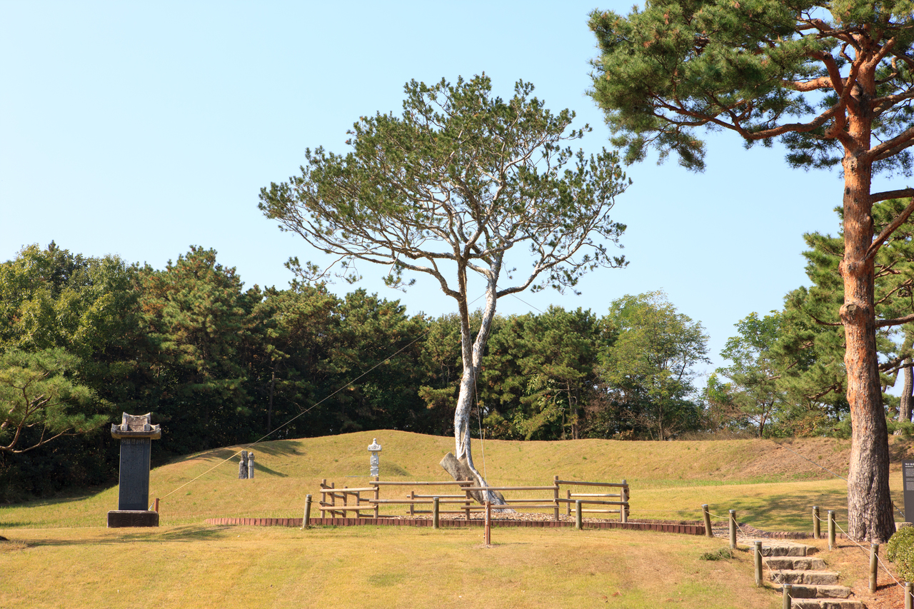추사김정희선생고택