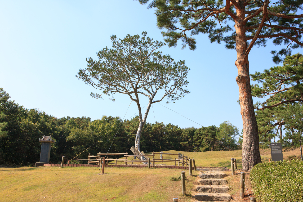 추사김정희선생고택