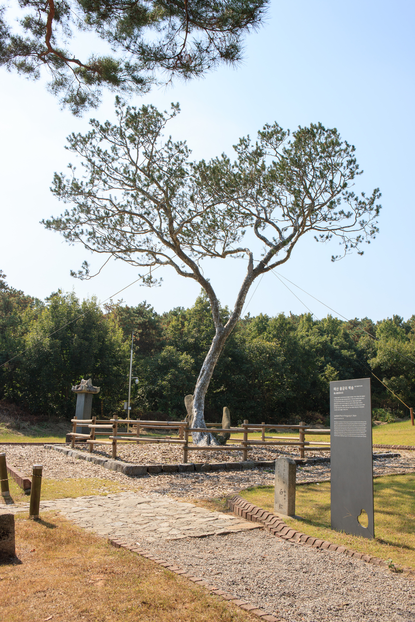 추사김정희선생고택