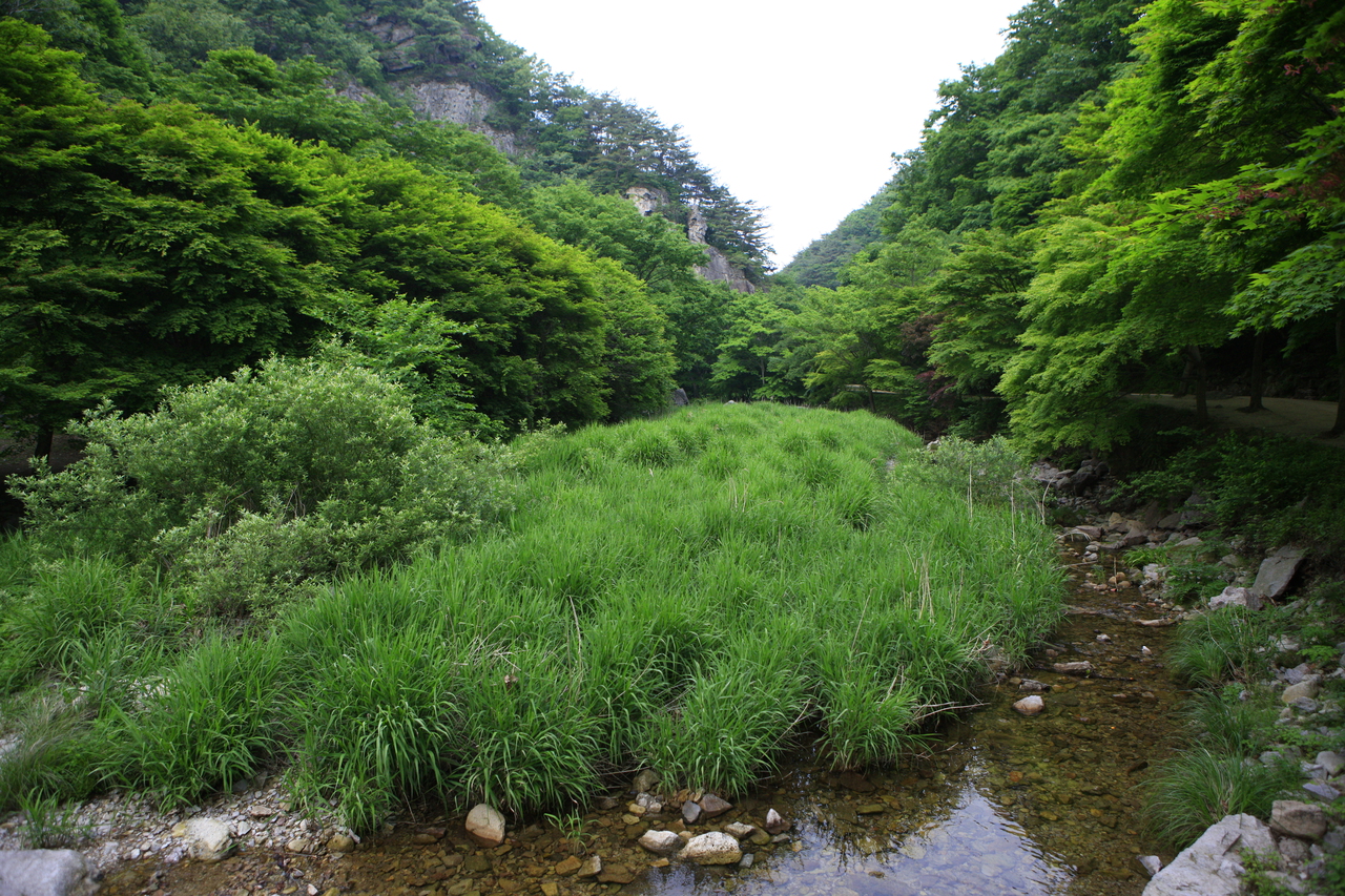 강천산 군립공원