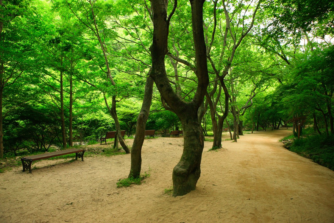 강천산 군립공원