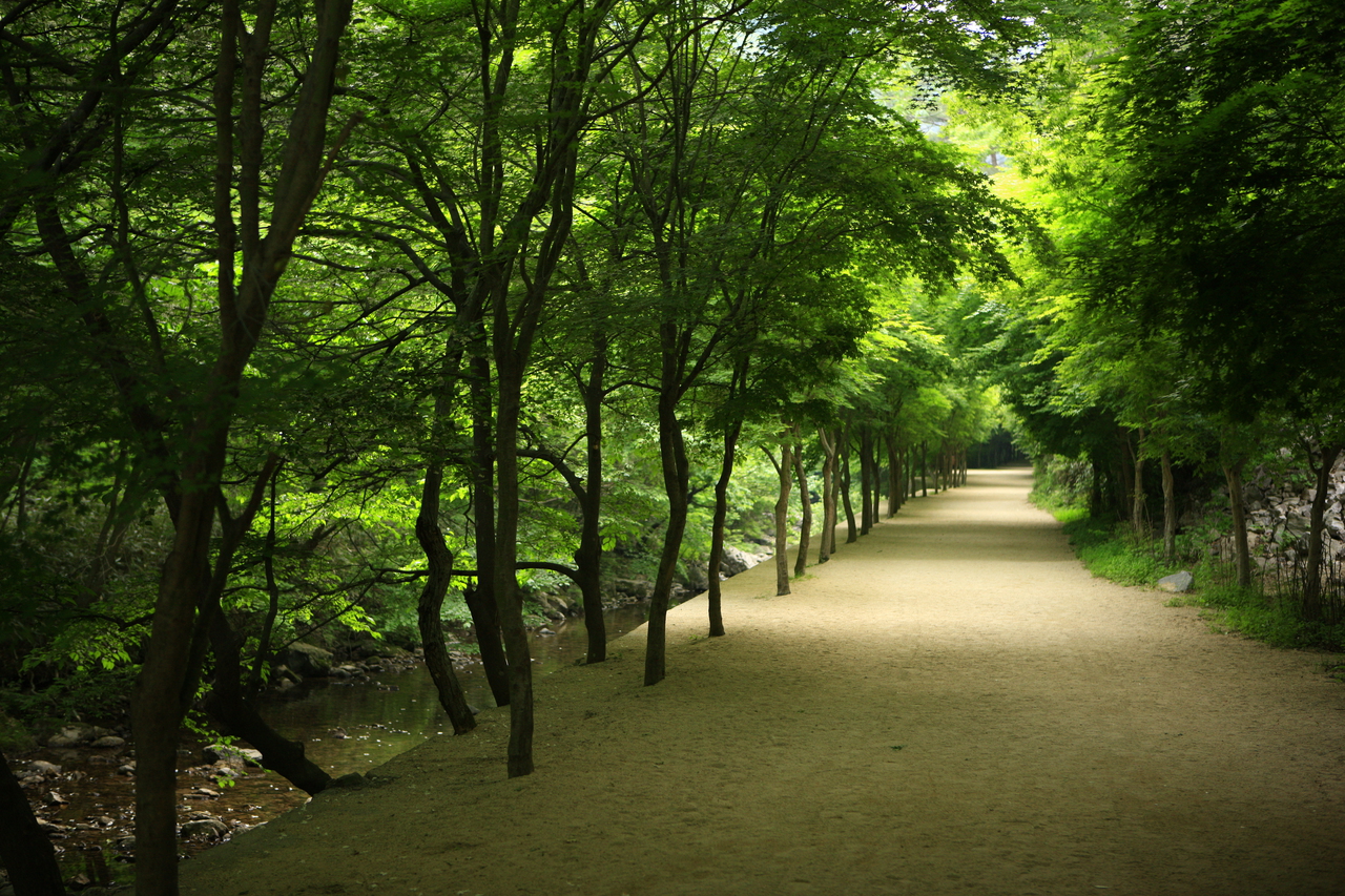 강천산 군립공원