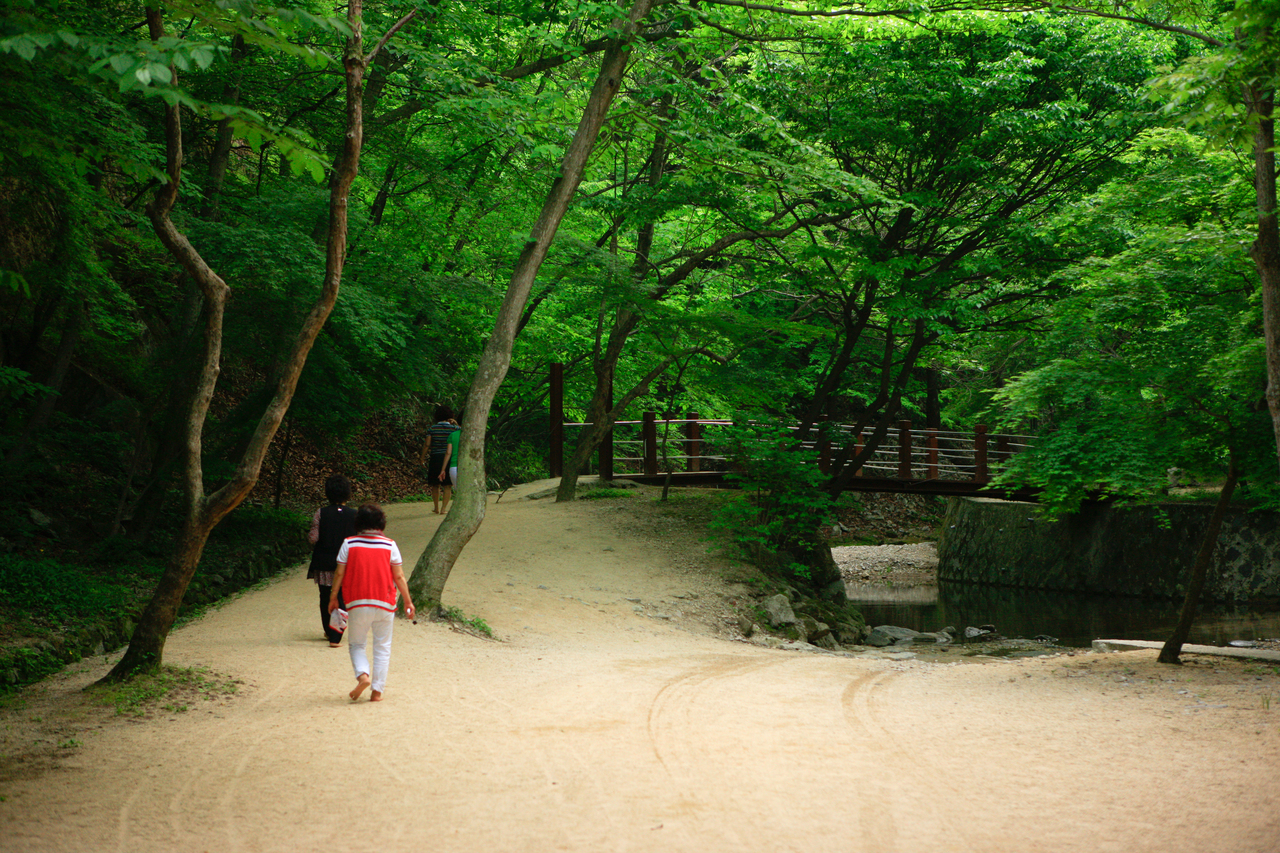 강천산 군립공원