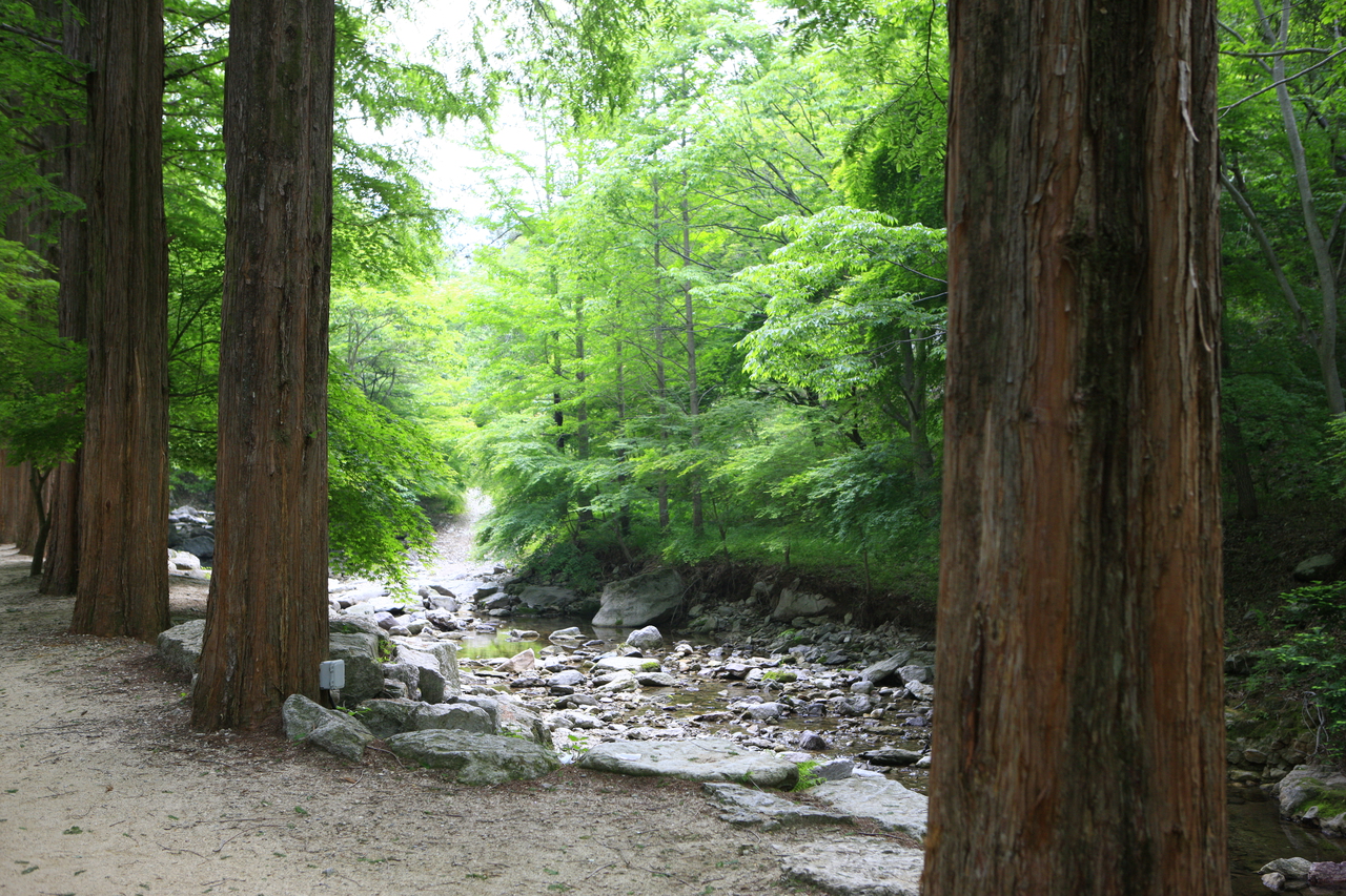 강천산 군립공원