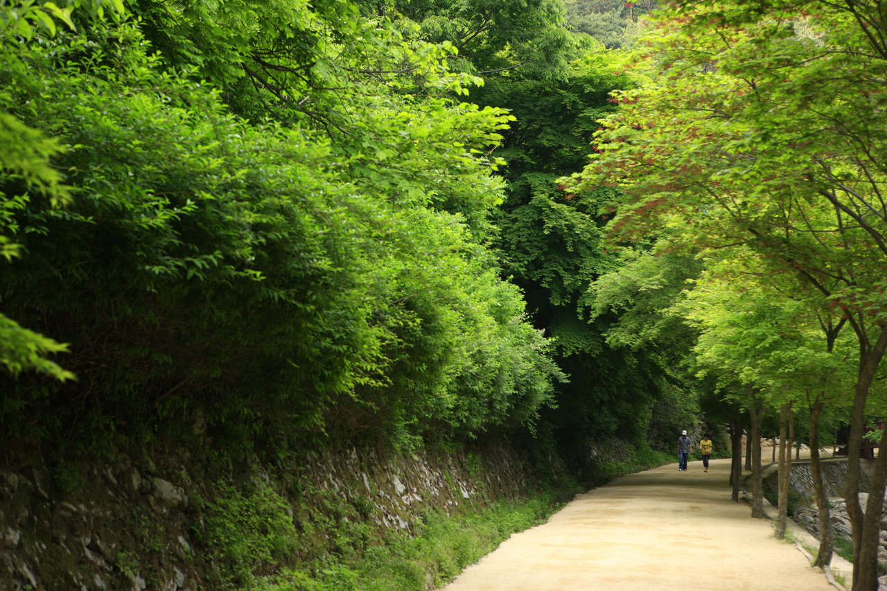 강천산 군립공원