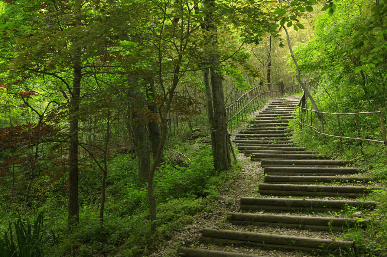 강천산 군립공원