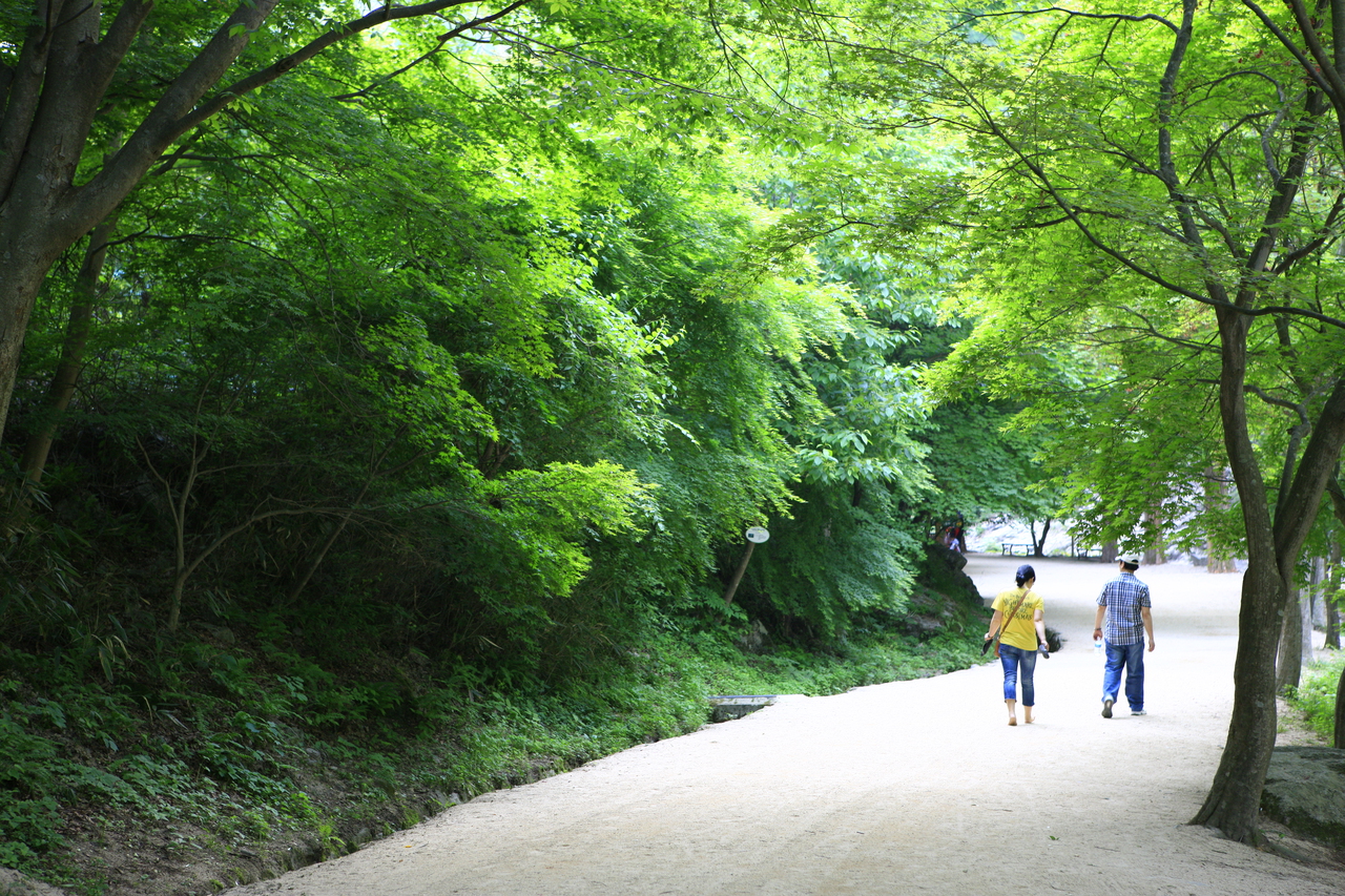 강천산 군립공원