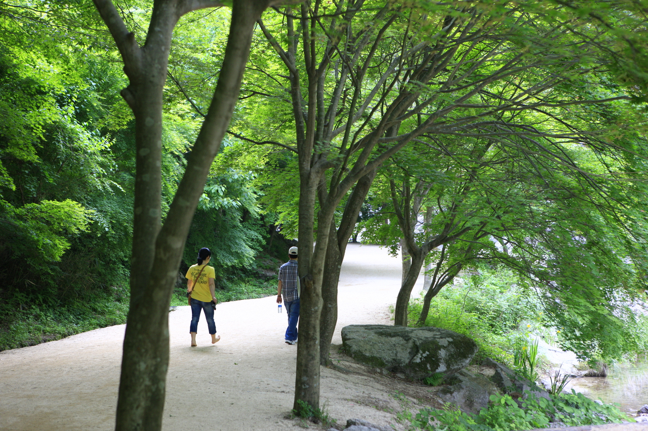 강천산 군립공원