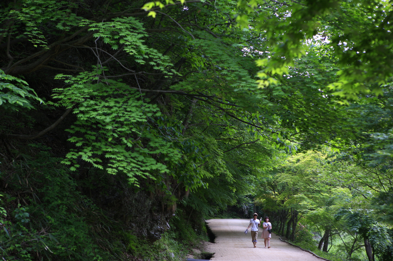 강천산 군립공원