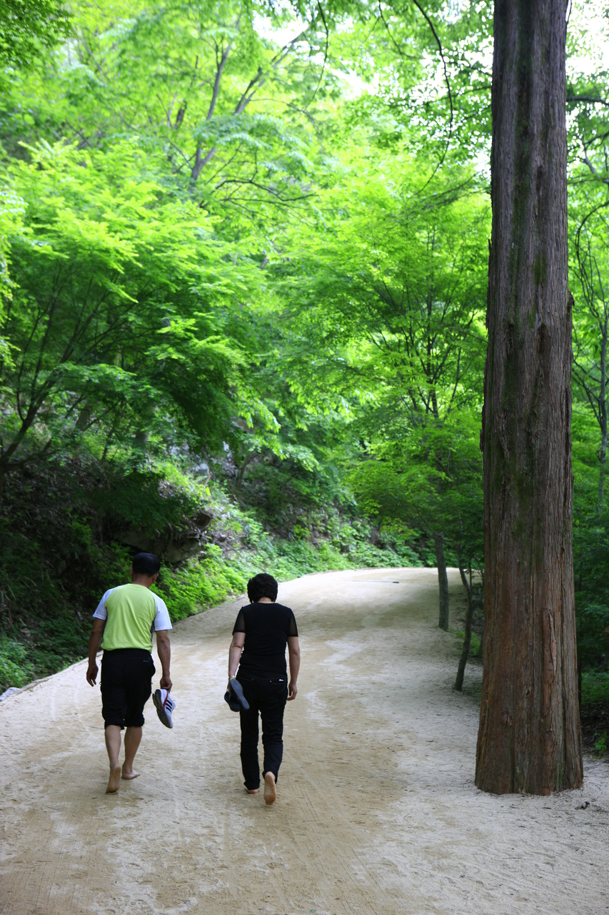 강천산 군립공원