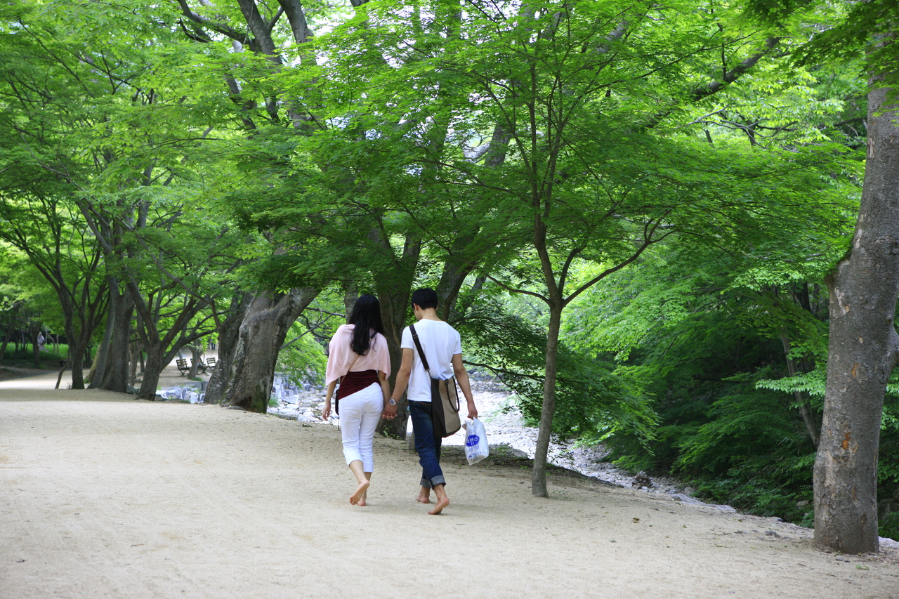 강천산 군립공원
