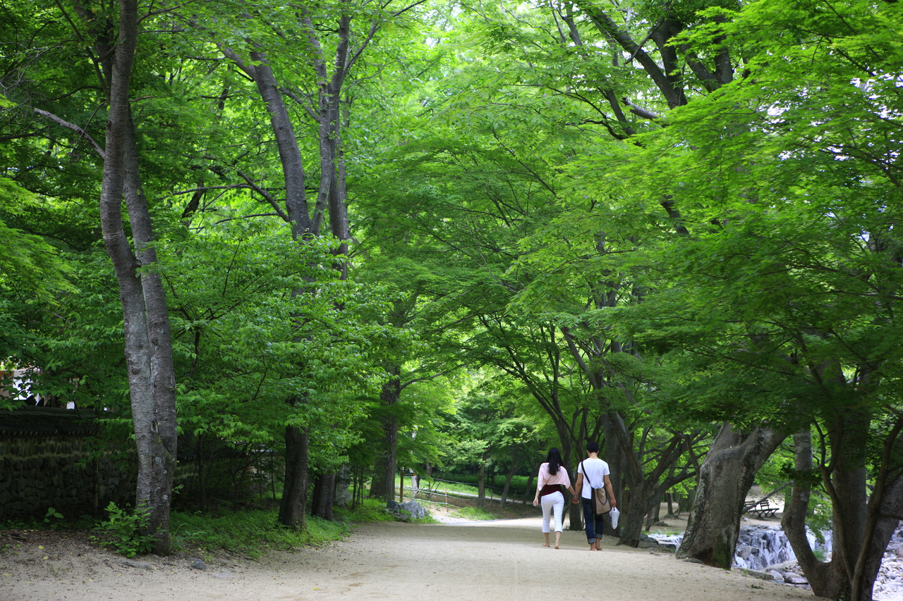 강천산 군립공원