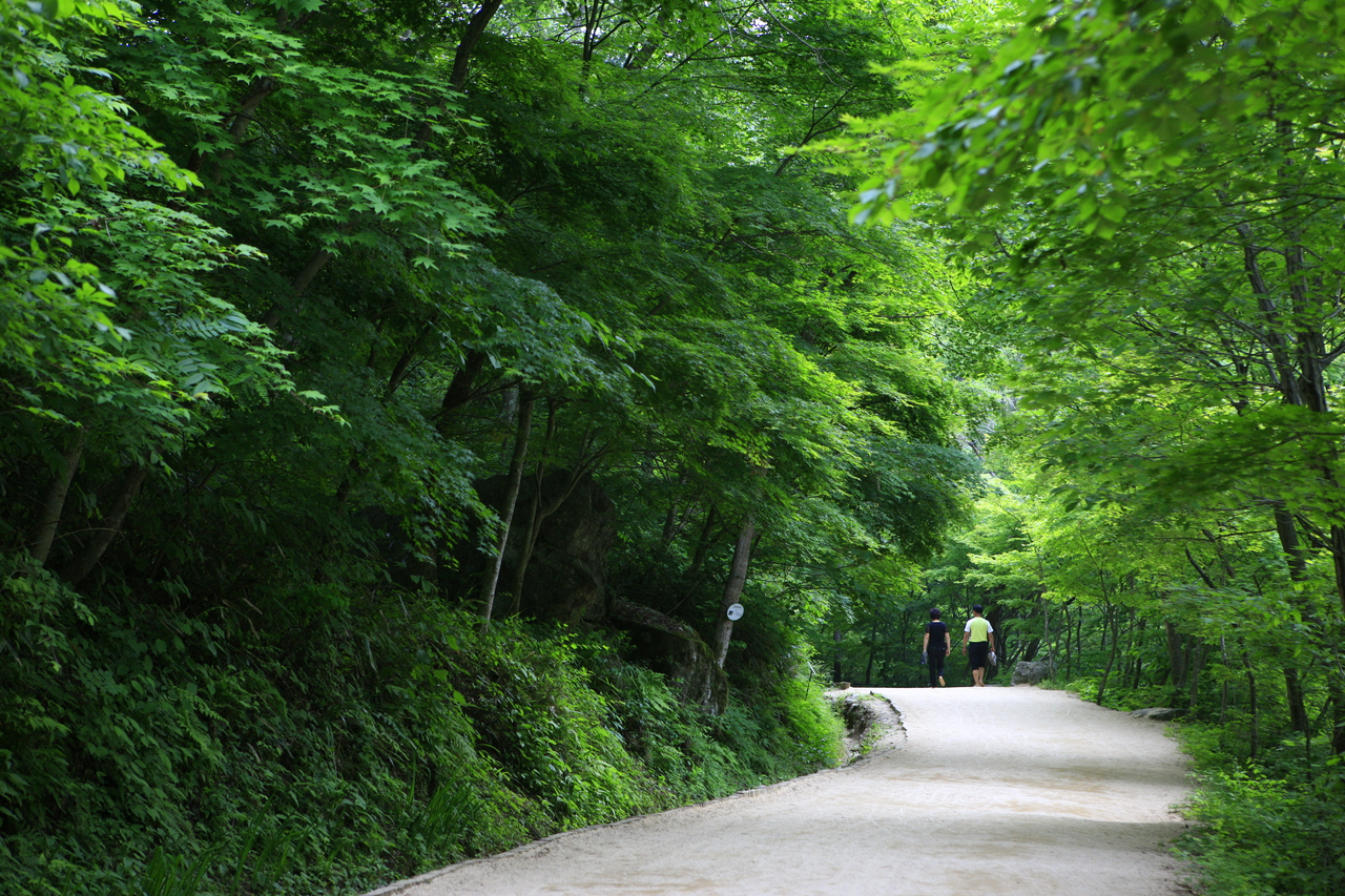 강천산 군립공원