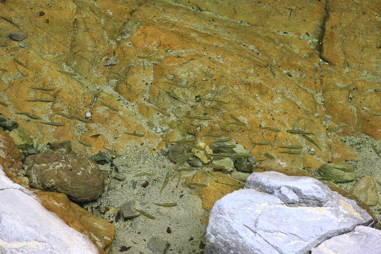 강천산 군립공원