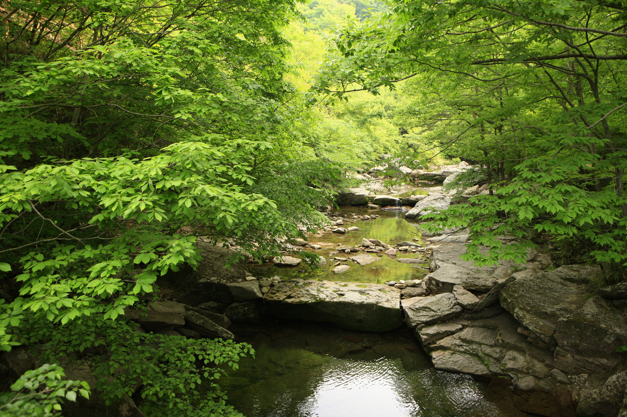 강천산 군립공원