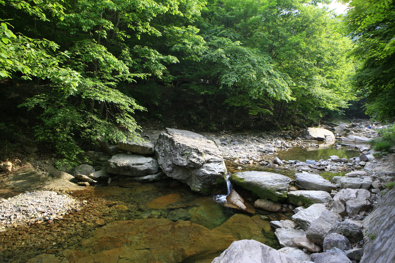 강천산 군립공원