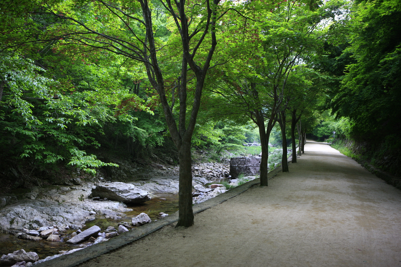강천산 군립공원