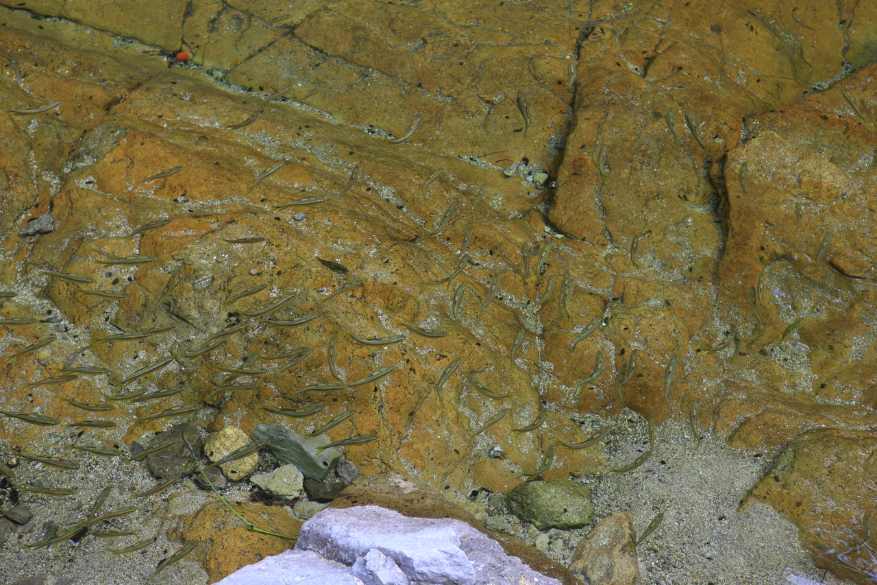 강천산 군립공원