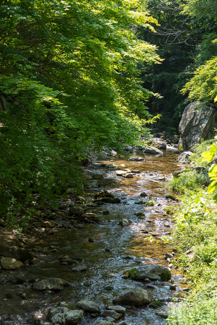 강천산 군립공원