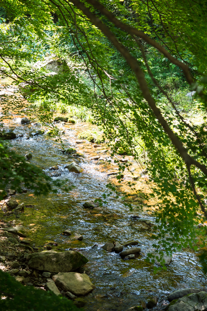 강천산 군립공원