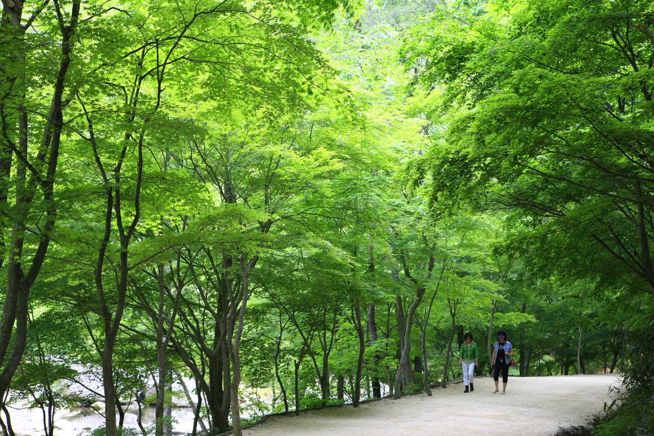 강천산 군립공원