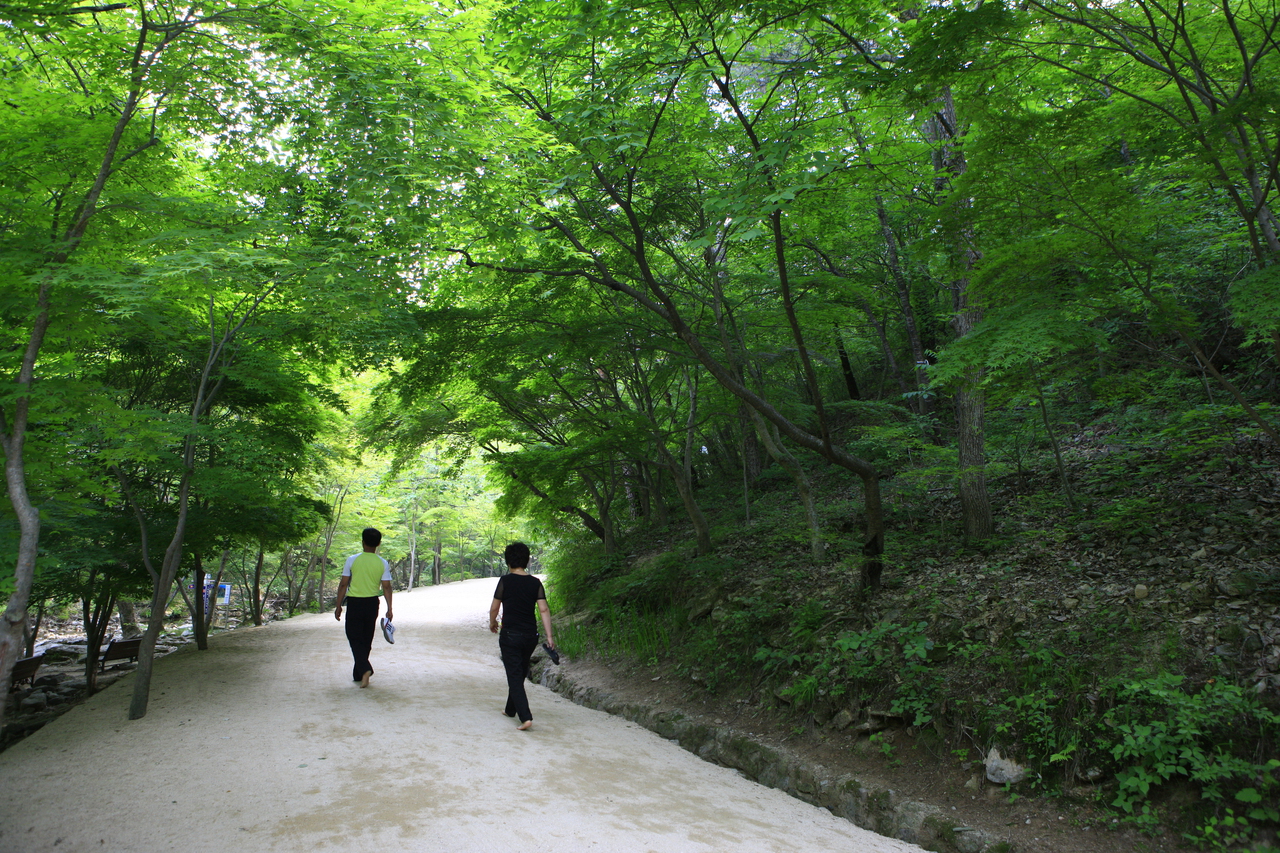 강천산 군립공원