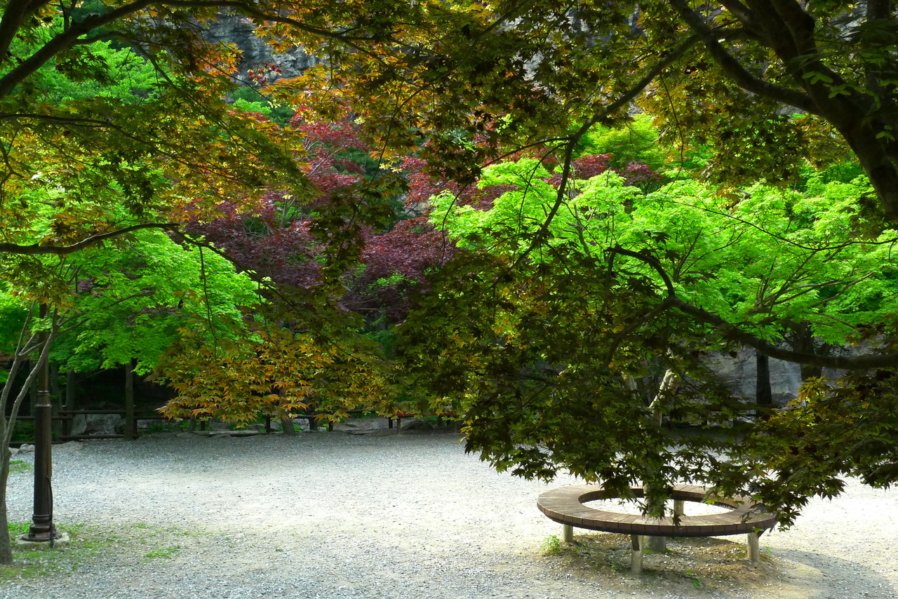 강천산 군립공원