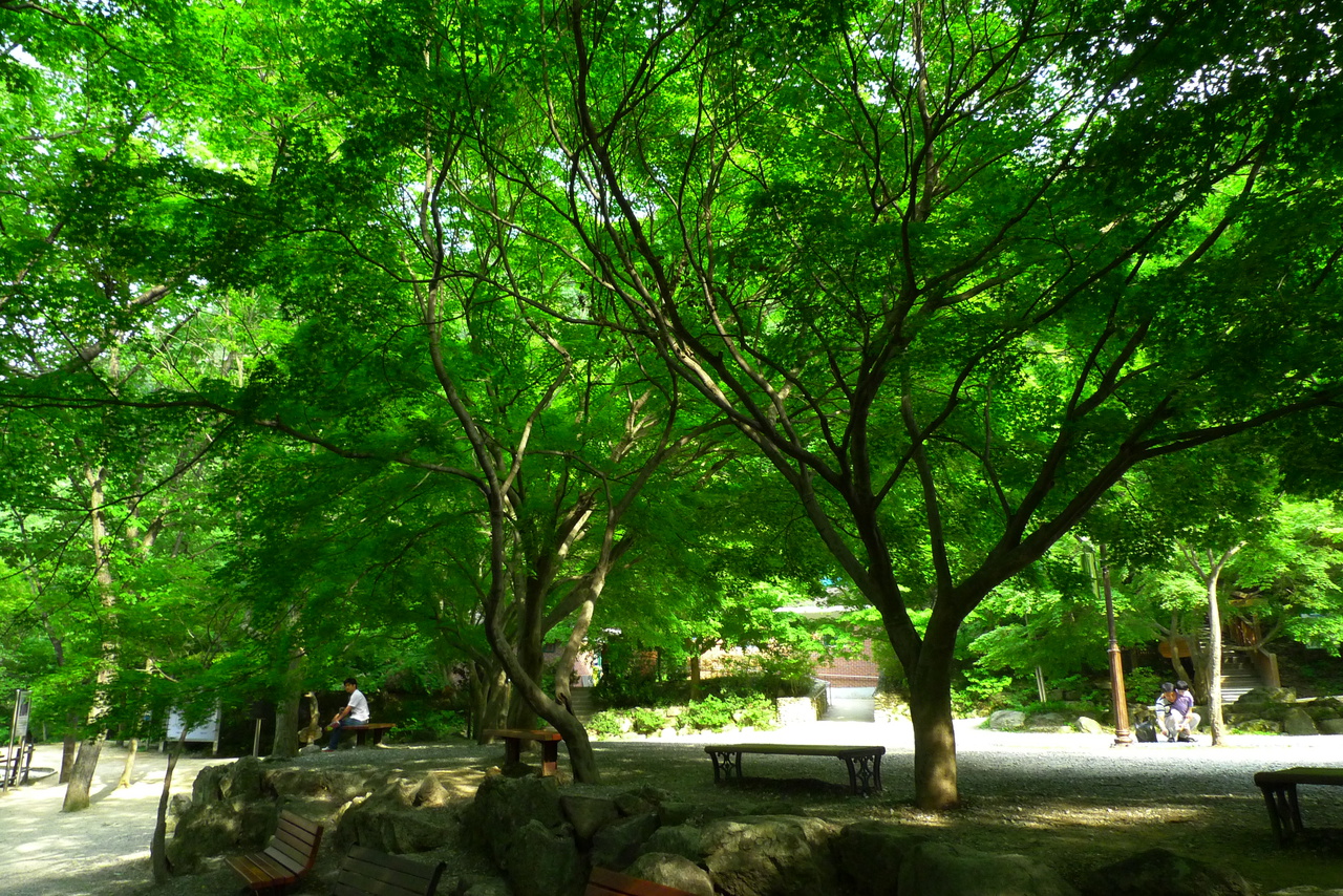 강천산 군립공원