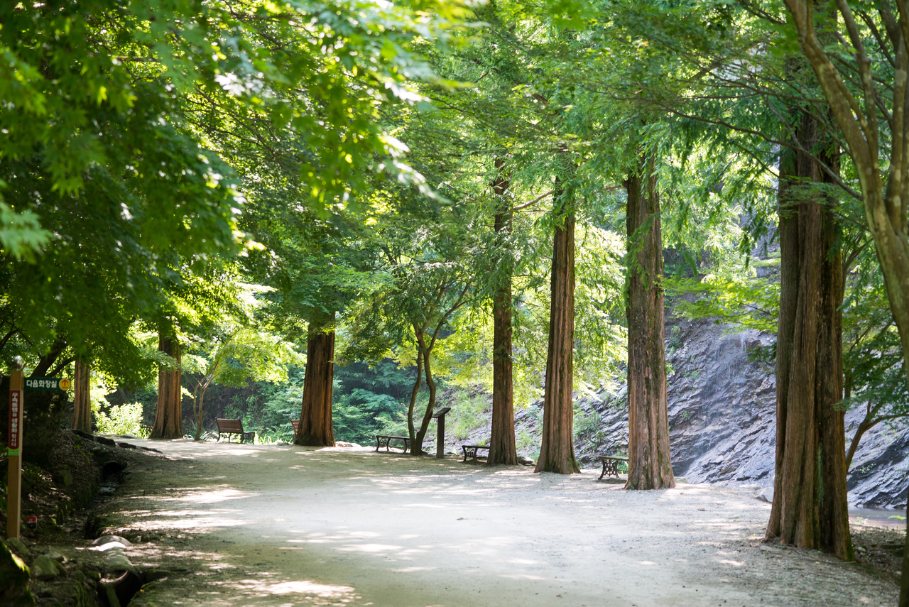 강천산 군립공원