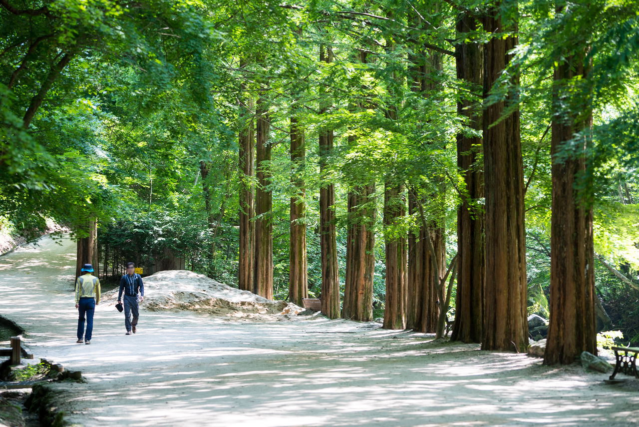 강천산 군립공원